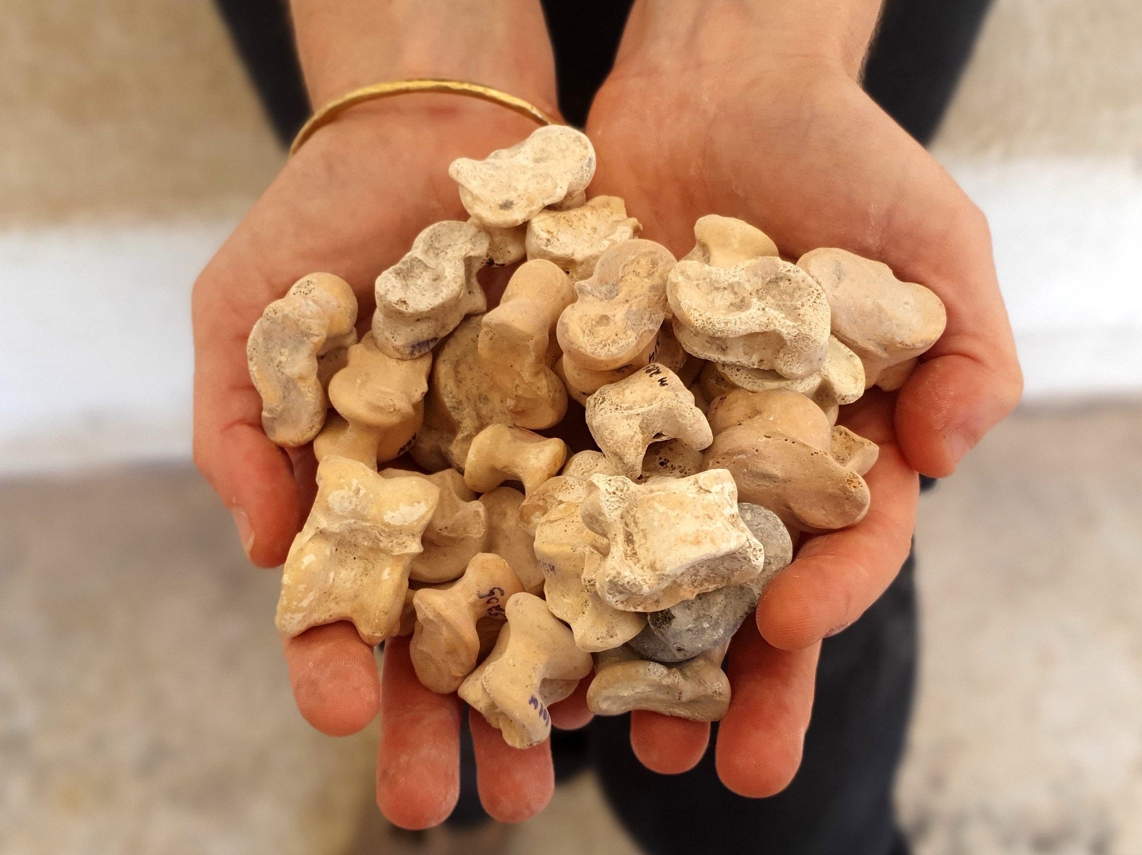 Encuentran más de 500 huesos de nudillos en la antigua ciudad de Maresha