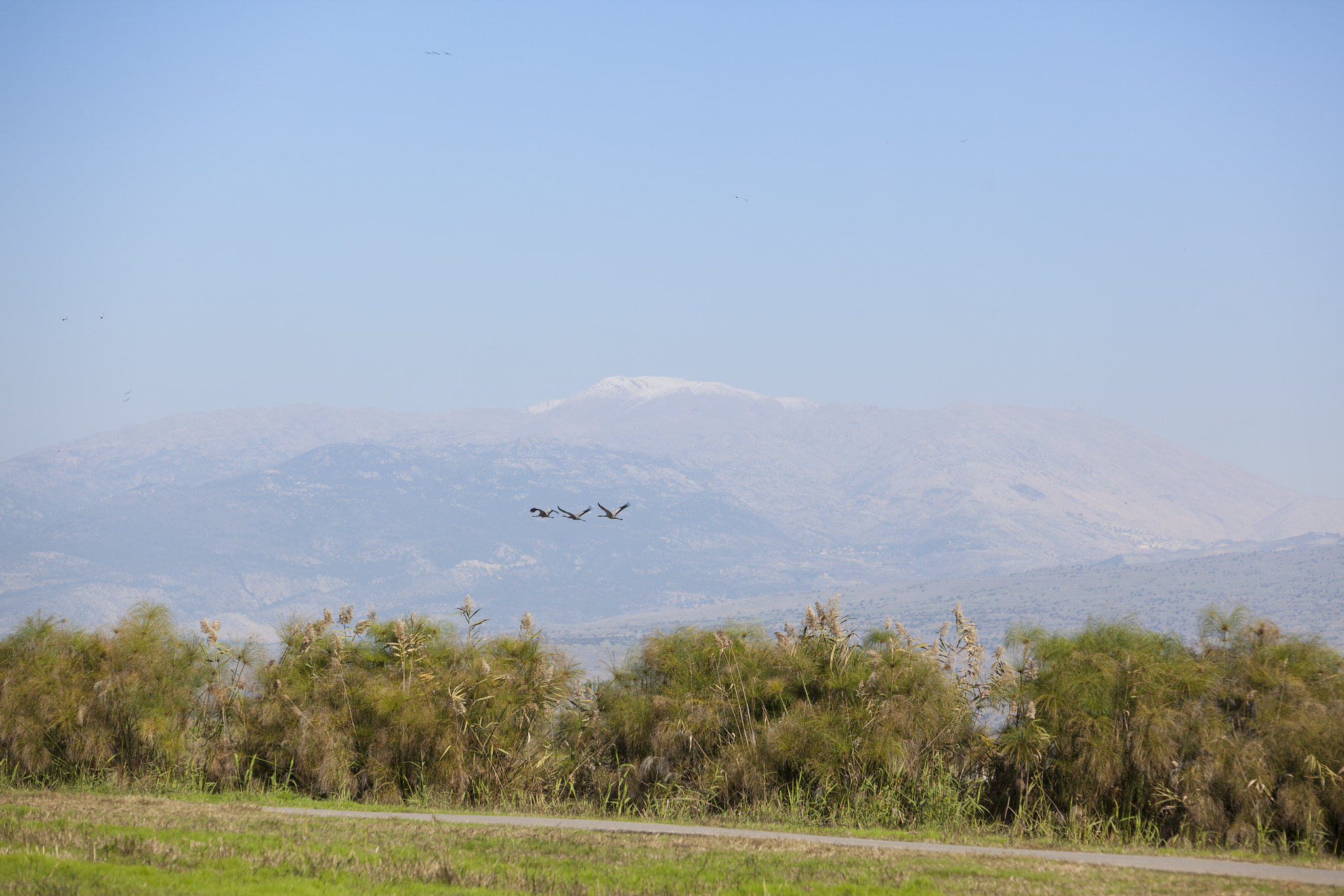 Se abre una ruta de senderismo reconocida por la UNESCO en el norte de Israel 